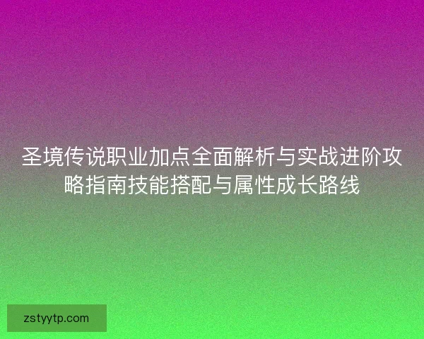 圣境传说职业加点全面解析与实战进阶攻略指南技能搭配与属性成长路线