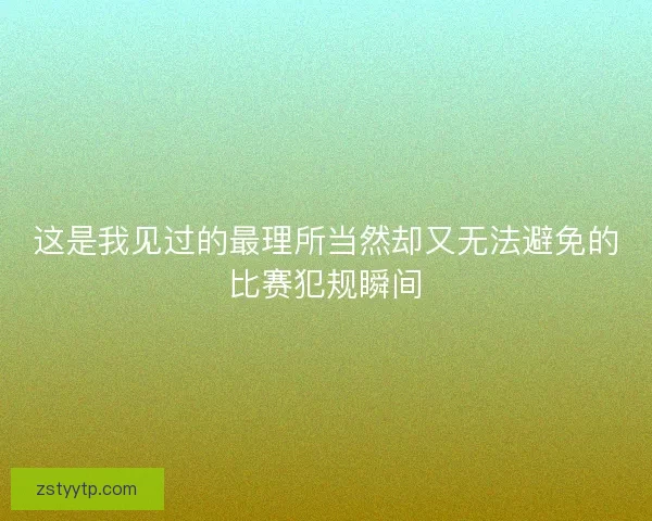 这是我见过的最理所当然却又无法避免的比赛犯规瞬间
